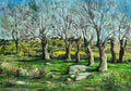 Paisaje Óleo Tablex 30cm x 50cm